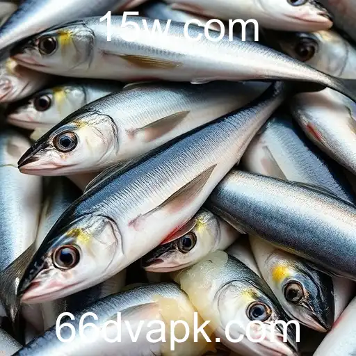 A Arte e Ciência da Pesca: Explorando o Fascínio e Desafios